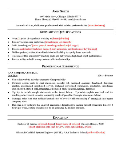 professional resume template representation